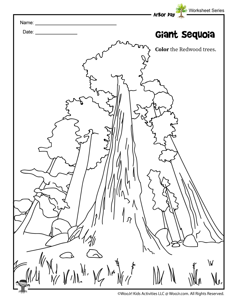 Redwood Tree Coloring Page Redwood Tree Coloring Page
